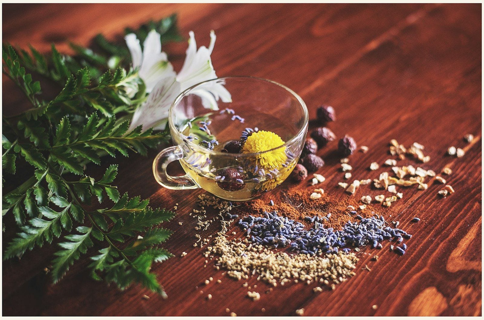 Adaptogene im Stack: Ashwagandha, Rhodiola, Lion's Mane